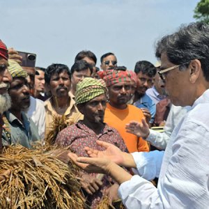 আমিও কৃষক, আমার ধানটা এরকম পচলে বুঝতাম কত কষ্ট: কৃষিমন্ত্রী