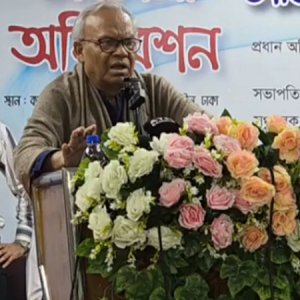 সীমান্তে রক্তপাত বন্ধ হবে কবে, জানতে চান রিজভী