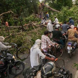 এক রাতের ঝড়ে উত্তর প্রদেশে ১০০ জনের প্রাণহানি