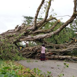 নওগাঁয় ঝড়ে ব্যাপক ক্ষয়ক্ষতি