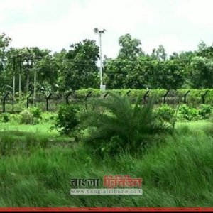 সিলেট সীমান্তে বিজিবি-বিএসএফ গোলাগুলি