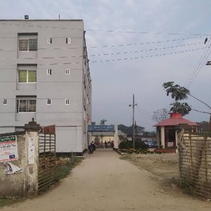 গাছে বাঁধা দেহ, মাটিতে মাথা, কারা করলো এই নির্মম হত্যা