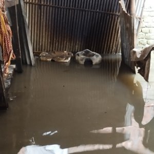 পাঁচ ঘণ্টার বৃষ্টিতে রংপুর নগরীর ১৫ হাজার পরিবার পানিবন্দি