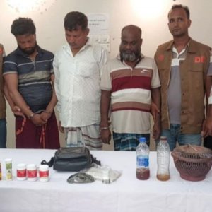 কোরবানির পশুর হাটে করে লুট, থাকে আবাসিক হোটেলে