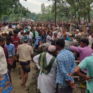 ছেলের নামে ইজারা নেওয়া হাটে অতিরিক্ত হাসিল নিচ্ছেন বিএনপি নেতা