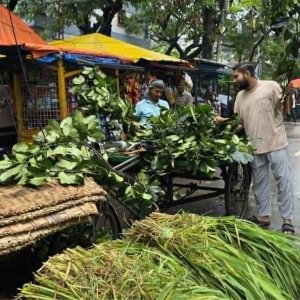 কোরবানিকে ঘিরে জমে উঠেছে মৌসুমি ব্যবসা