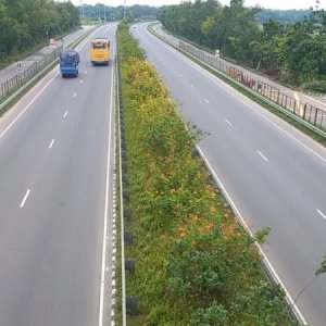 ব্রেক করা মাত্রই চলন্ত বাস থেকে পড়ে যাত্রী নিহত