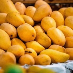 ভারতীয় আম আমদানি কেন স্থগিত করলো জাপান