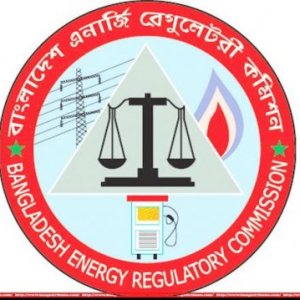 বিদ্যুতের দাম নিয়ে সিদ্ধান্ত ঘোষণা বুধবার 