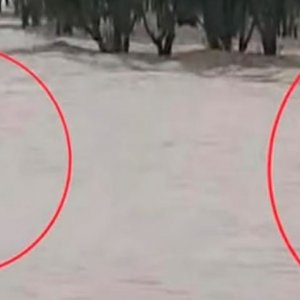 সাগরের সেই ‘মৃত্যুস্থলে’ ভেসে যাচ্ছিলেন চার পর্যটক, উদ্ধার করলো কে?