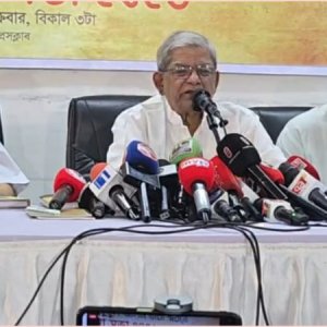 ‘বিএনপি বিপ্লবী দল নয়, উদার গণতান্ত্রিক রাজনৈতিক দল’