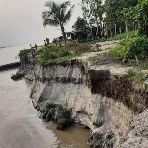 যমুনায় পানি বাড়তেই চরাঞ্চলে ভাঙন শুরু