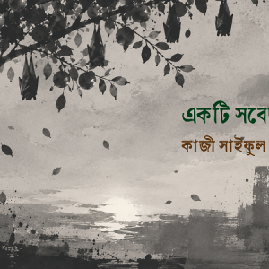 একটি সবেদা গাছ