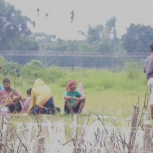 ৩ দিন ধরে শূন্যরেখায় ১০ জনের অবস্থান, বিএসএফ বলছে ফিরিয়ে নেব