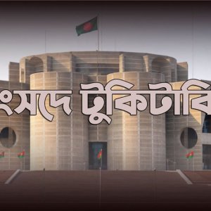 বজ্রপাতের ঝুঁকি কমাতে তাল গাছ রোপণের উদ্যোগ