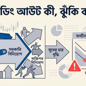 ব্যাংকে ক্রাউডিং আউট কী, এর ঝুঁকি কতটা