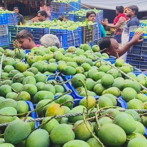 ৫৪ কেজিতে এক মণের দিন শেষ