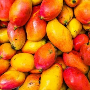 জাপানের পর এবার যে কারণে ভারতীয় আম নিষিদ্ধ করলো নেপাল