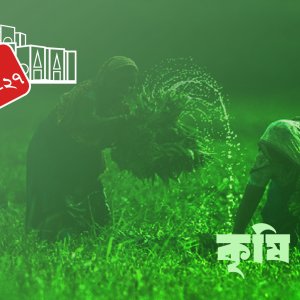 সার ও কীটনাশকের কাঁচামাল আমদানিতে শুল্ক-কর ছাড়ের প্রস্তাব