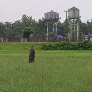 বিএসএফের পুশইনের পর সীমান্তে আটকে থাকা বৃদ্ধের পরিচয় মিলেছে