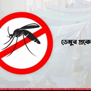 ২৪ ঘণ্টায় ডেঙ্গুতে আক্রান্ত ১৯