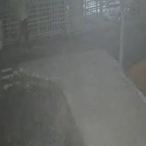 জানালা খুলে দেখি, এলাকা ঘিরে রেখে অনবরত গুলি ছুড়ছে তারা
