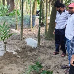 ঈদের দিন মৃত্যু, দাফনের ১৮ দিন পর তরুণীর কবর খুঁড়ে কী দেখলেন স্বজনরা