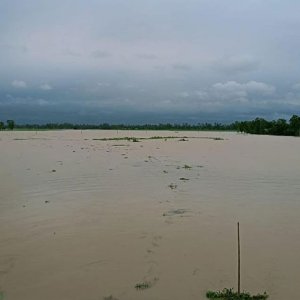বাড়ছে নদ-নদীর পানি, কুড়িগ্রামের নিম্নাঞ্চলে বন্যার শঙ্কা