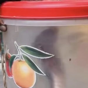 কামড় খেয়ে জ্যান্ত সাপ নিয়ে হাসপাতালে যুবক