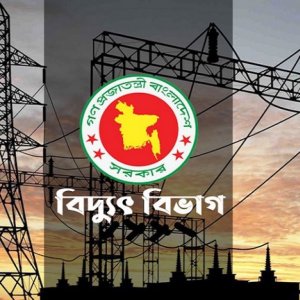 বিদ্যুতের নতুন দাম: প্রিপেইড মিটারে টোকেন আপডেটের নির্দেশ