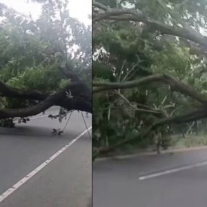 আসলাম চৌধুরীর প্রার্থিতা বাতিলের খবরে গাছ ফেলে মহাসড়ক অবরোধ