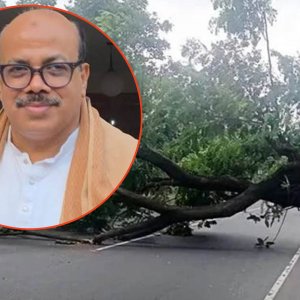 সরকারি গাছ কেটে আসলাম চৌধুরীর জন্য বিক্ষোভ, বিএনপির দুই কর্মী গ্রেফতার