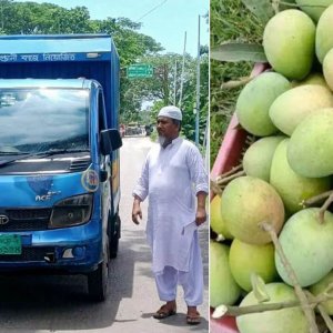 ত্রিপুরার মুখ্যমন্ত্রীর জন্য ৬০০ কেজি আম পাঠালো বাংলাদেশ সরকার