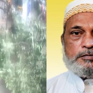 মুম্বাইয়ে বৃষ্টির মধ্যে ভেঙে পড়লো গাছ, প্রাণ হারালেন বৃদ্ধ