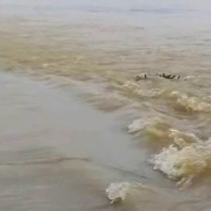 ধলাই নদীর বাঁধ ভেঙে ২৫ গ্রাম প্লাবিত, পানিবন্দি ১০ হাজার মানুষ