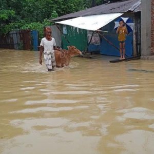 বাঁশখালীতে বন্যার পানিতে ডুবে আরও এক শিশুর মৃত্যু