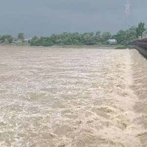 খুলে দেওয়া হলো মুহুরী সেচ প্রকল্পের ৪০ জলকপাট