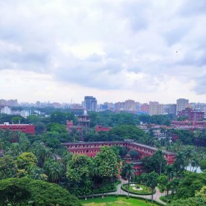 ঝুঁকিতে ঢাকা বিশ্ববিদ্যালয়ের প্রায় ২ হাজার ২০০ গাছ