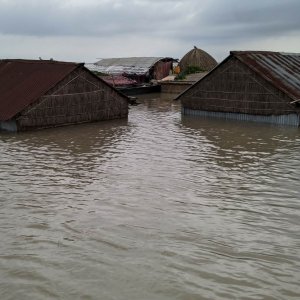 উত্তরের ৪ জেলায় ফের বন্যার আশঙ্কা, পরিস্থিতির অবনতি হতে পারে