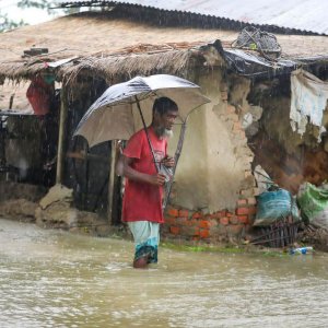 সাপে কাটা ও পানিবাহিত রোগ মোকাবিলায় প্রস্তুত স্বাস্থ্য মন্ত্রণালয়