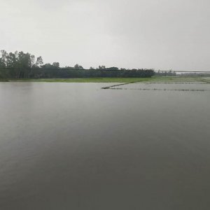 ভেসে গেছে মাছ ভেঙেছে সড়ক, ক্ষতি ১৫০ কোটি
