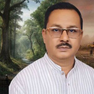 বন দখল থেকে ঝুট ব্যবসা নিয়ন্ত্রণ, এমপি বাচ্চুর বিরুদ্ধে যত অভিযোগ