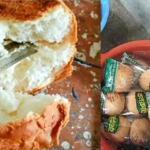 প্রাথমিকের স্কুল ফিডিংয়ের রুটির ভেতরে আস্ত ব্লেড, অল্পের জন্য রক্ষা পেলো শিশুশিক্ষার্থী