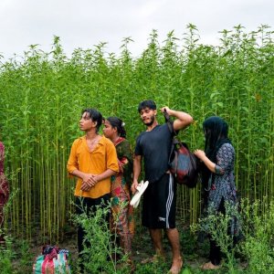 কুষ্টিয়া সীমান্তে ৮ জনকে পুশইনের চেষ্টা, ফেরত পাঠালো বিজিবি