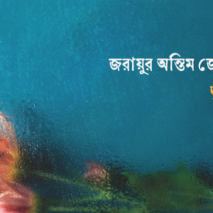 জরায়ুর অন্তিম জ্যোৎস্না