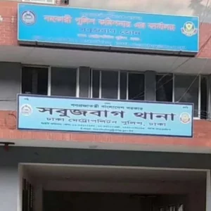 ব্রিজের নিচ থেকে নারীর মাথা ও হাত উদ্ধার, বাকি অংশ পাওয়া যায়নি