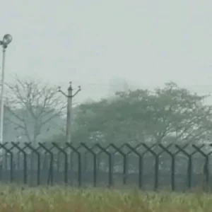 মেহেরপুর সীমান্তে ৫ জনকে পুশইনের চেষ্টা, বিজিবির প্রতিরোধে ব্যর্থ