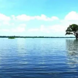 নওগাঁর জল-সবুজের মায়াবী পর্যটন ঠিকানা হাঁসাইগাড়ী বিল