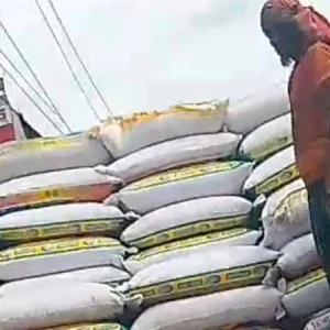 সরকারি ২৫০ বস্তা গম দোকানে বিক্রি, উদ্ধার করলো ৩৫০ বস্তা