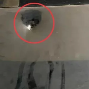 ৫০ লাখ টাকা চাঁদা না পেয়ে প্রবাসী ব্যবসায়ীর ১১ তলা ভবনের গেটে গুলি